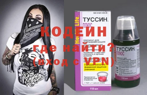 шишки Братск