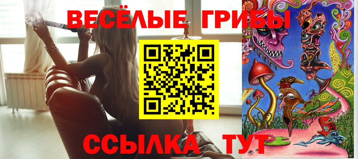 Галлюциногенные грибы MAGIC MUSHROOMS Александров