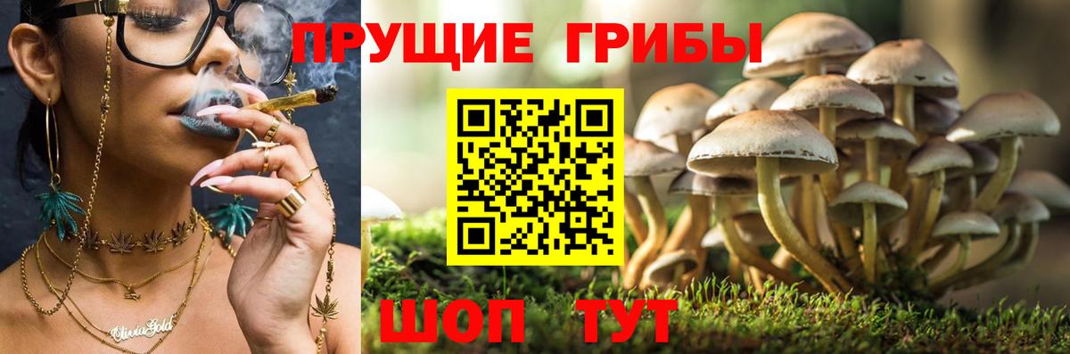 Псилоцибиновые грибы Magic Shrooms  Вход с VPN  Александров 