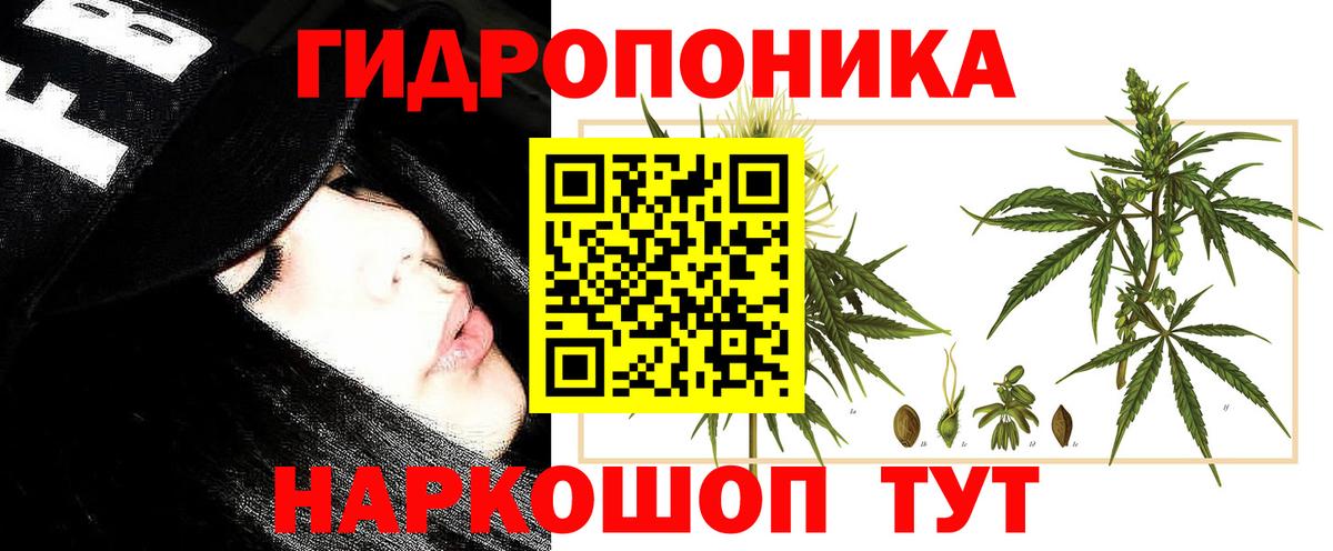 Марихуана конопля  Вход с VPN  Александров  Конопля SATIVA & INDICA  Канабис конопля 